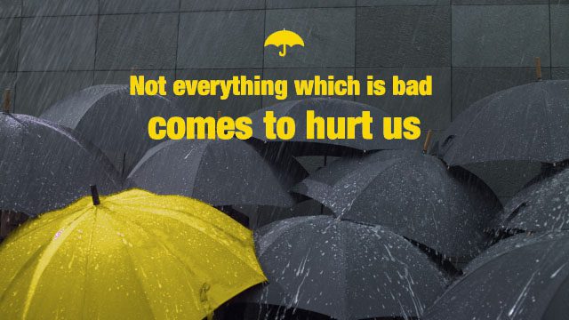 presentation hook examples | Maurizio La Cava